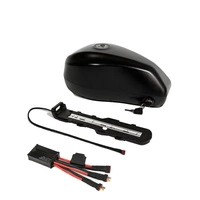 Battery for Engwe M20 - 48V | 19.2Ah | Frame Mount