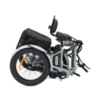 Hidoes T2 Electric Bike - 250W Power | 17.4Ah Battery | 15.5mph Speed | 30mi Range
