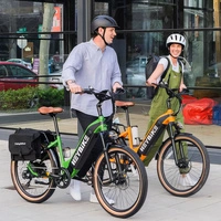 Heybike CityRun Electric Bike - 1000W Power | 15Ah Battery | 21mph Speed | 55mi Range