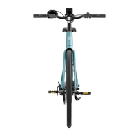 Heybike EC1 Electric Bike - 250W Power | 10Ah Battery | 15.5mph Speed | 62mi Range