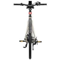 Heybike EC1 Electric Bike - 250W Power | 10Ah Battery | 15.5mph Speed | 62mi Range