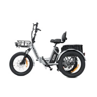 Hidoes T2 Electric Bike - 250W Power | 17.4Ah Battery | 15.5mph Speed | 30mi Range