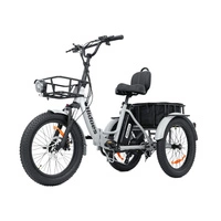 Hidoes T2 Electric Bike - 250W Power | 17.4Ah Battery | 15.5mph Speed | 30mi Range