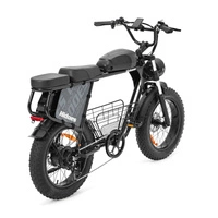 Hidoes B9 Electric Bike - 250W Power | 33.8Ah Battery | 15.5mph Speed | 56mi Range 