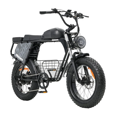 Hidoes B9 Electric Bike - 250W Power | 33.8Ah Battery | 15.5mph Speed | 56mi Range