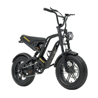 Hidoes B6 Mini Electric Bike - 250W Power | 10.4Ah Battery | 15.5mph Speed | 17.5mi Range