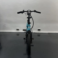 Tern GSD S10 Electric Cargo Bike - 250W Power | 14Ah Battery | 15.5mph Speed | 53mi Range | Refurbished