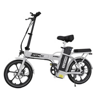 HITWAY BK5S Foldable Electric Bike - 250W Power | 10.4Ah Battery | 15.5mph Speed | 43mi Range