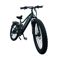 Allegro MTB GT Foldable Electric Bike - 750W Power | 55Ah Battery | 30mph Speed | 55mi Range | TDL6131
