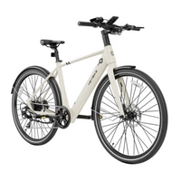 Heybike EC1 Electric Bike - 250W Power | 10Ah Battery | 15.5mph Speed | 62mi Range
