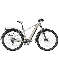 Fiido Nomads Touring Electric Bike  - 250W Power | 11.7Ah Battery | 15.5mph Speed | 148mi Range | Triple Battery